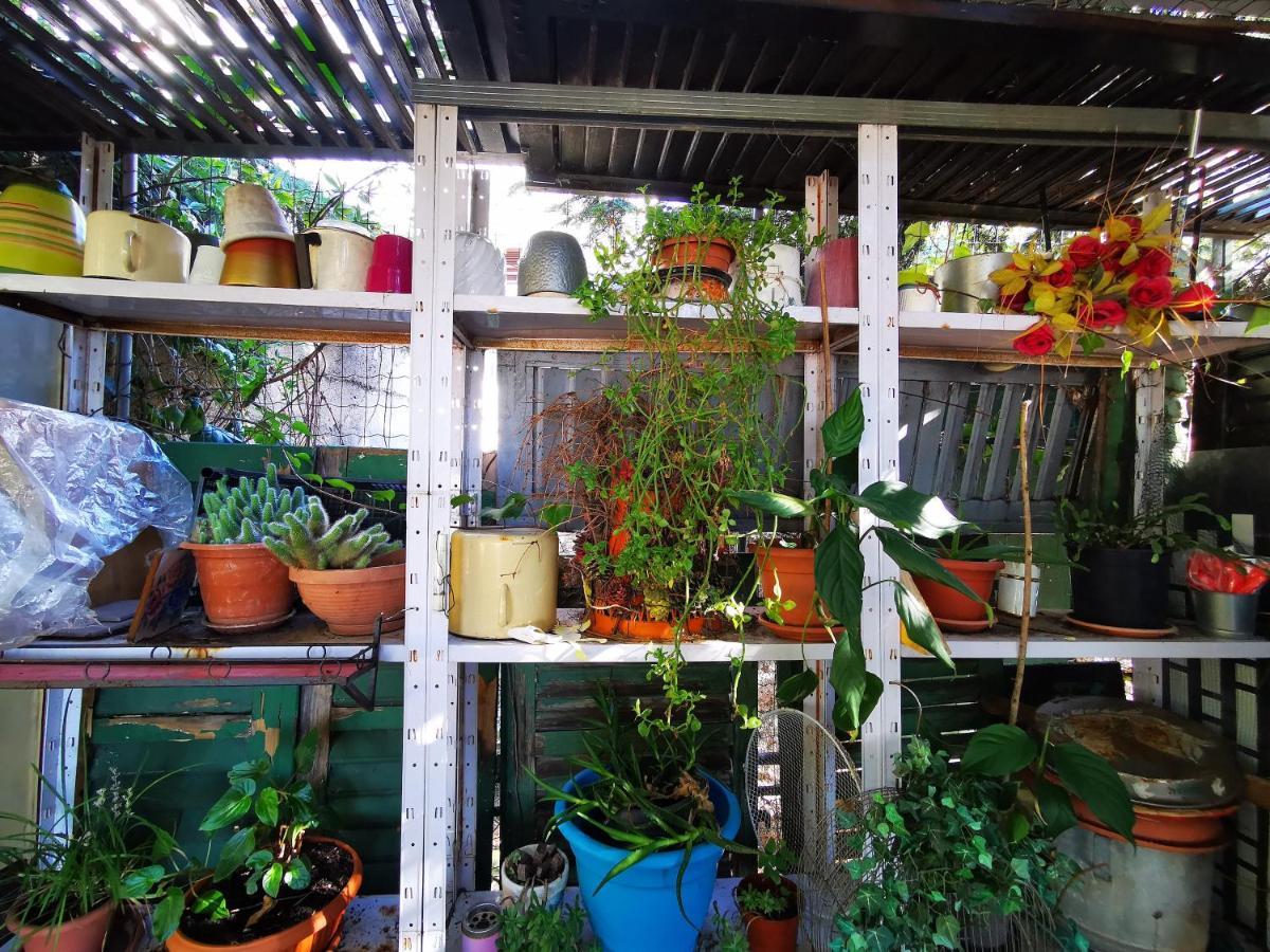 Anita Studio Apartment With Terrace ริเยกา ภายนอก รูปภาพ